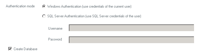SQL Server authentication options screen