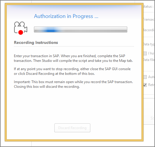 window while waiting for sap gui to start