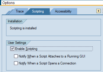 enable scripting check box under user settings